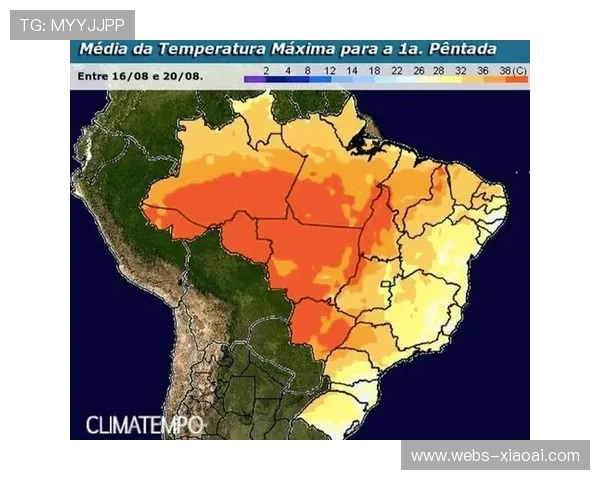 热浪侵袭巴西，“凉宠”商品走俏，宠物降温需求大增